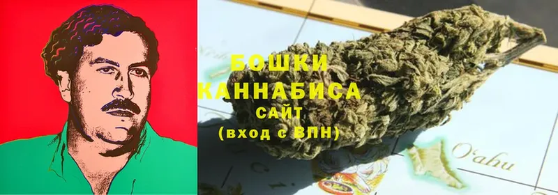 Канабис Amnesia  где купить наркоту  мориарти официальный сайт  Бежецк 